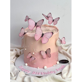 Ombre Butterfly Cake Ombre Butterfly Cake