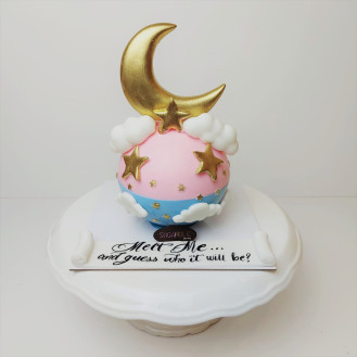 Baby Reveal Chocolate Ball  Baby Reveal Chocolate Ball