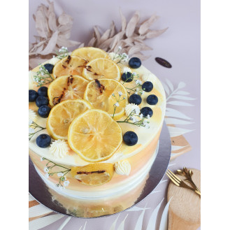 Vegan Lemon Blueberry Cake  Vegan Lemon Blueberry Cake