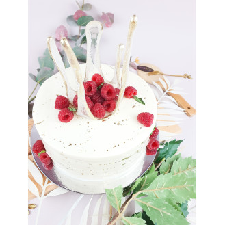 Vegan Vanilla Raspberry Cake  Vegan Vanilla Raspberry Cake