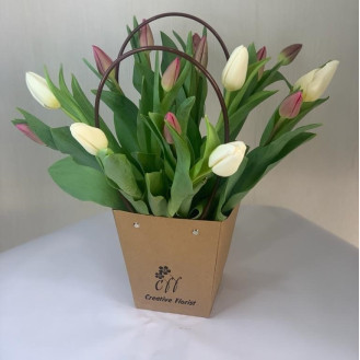 Tulip Sense - CR Tulip Sense - CR