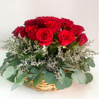 Blooming Roses - TA Blooming Roses - TA